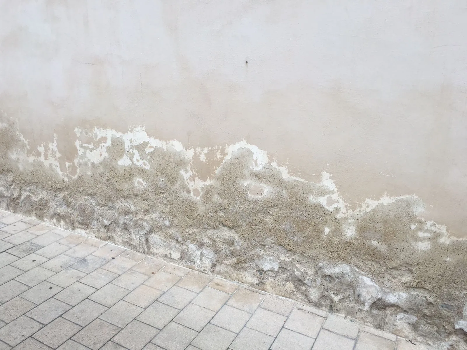 Expertise technique Alcove Habitat : Traitement d'humidité