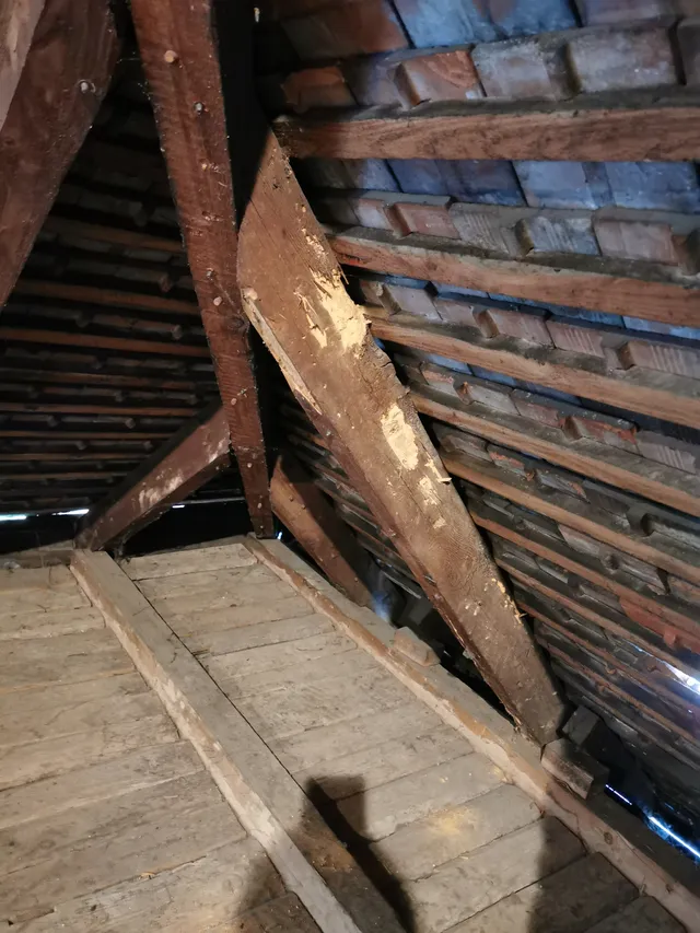 Réalisation Traitement curatif de la charpente à Altkirch par Alcove Habitat