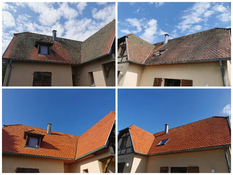 Collage Bringel 2