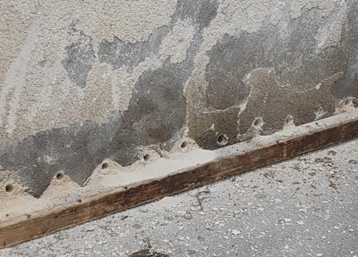 Réalisation de Traitement d'humidité par Alcove Habitat